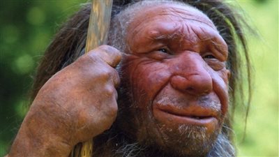  تكشف أسلاف البشر.. اكتشاف فك بشري لفصيلة منقرضة من الإنسان العاقل