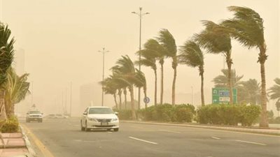 رياح عاتية وصواعق.. طقس مضطرب يضرب عدة دول عربية اليوم الجمعة 