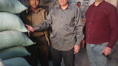 محافظ أسيوط: تحرير 71 محضر تمويني متنوع خلال حملة مكبرة بمركز ديروط