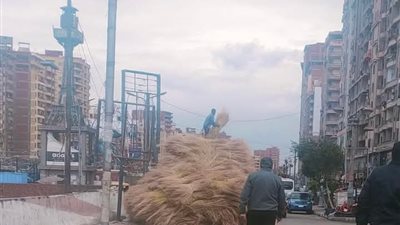 تكرار حوادث مزلقان الشعبية بالمحلة يثير القلق عقب انقلاب سيارة محمّلة بالكتان