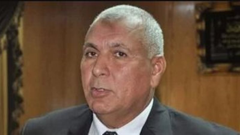 محافظ الوادي الجديد