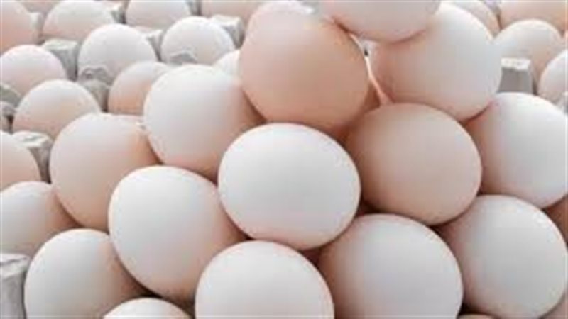 أسعار البيض والدواجن