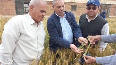  أنشطة بحثية وإرشادية مكثفة تعكس حيوية مركز البحوث الزراعية