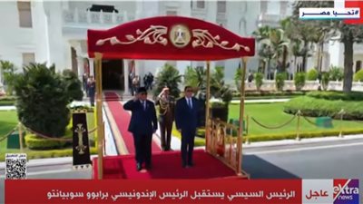 الرئيس السيسي ونظيره الإندونيسي يستعرضان حرس الشرف بالاتحادية | فيديو