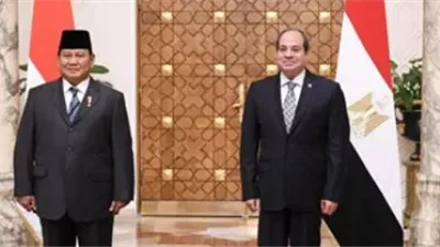 خبير علاقات دولية: نشاط مكثف من زيارات ثنائية وعلاقات خارجية لدعم العلاقات 