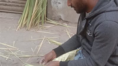 فرحة أحد الشعانين بالكنائس.. سعف النخيل يزين الأيادي ويضيء القلوب بالسويس |صور