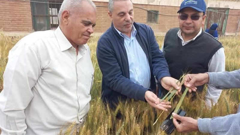 متابعة معهد بحوث