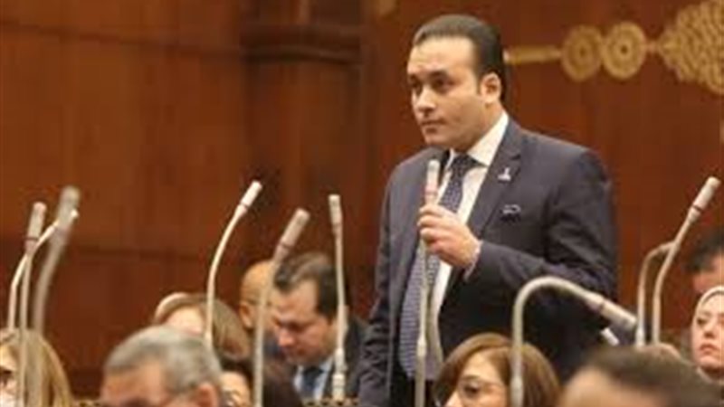 النائب عمرو فهمي