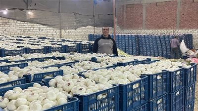  بسبب تراجع التصدير إلى روسيا.. مجدي اللامي يكشف سر ركود « سوق الثوم »