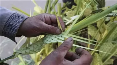 آلاف الأقباط يحتفلون بأحد السعف بدير سمعان الخراز بالمقطم