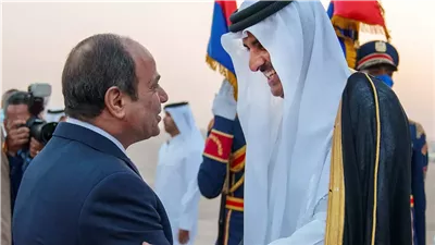 جميل عفيفي: قطر شريك أساسي في عملية الوصول لحل مُرضي للقضية الفلسطينية | فيديو