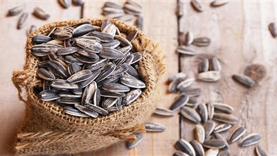 ماذا يحدث لجسمك عند بلع اللب أثناء الأكل؟.. حقائق طبية قد تجهلها