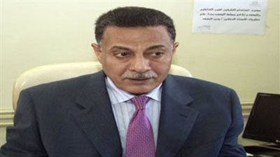 الحاضنة تُقدم الرعاية تطوعا.. خبير دستوري: الاستبقاء ليست حضانة جديدة