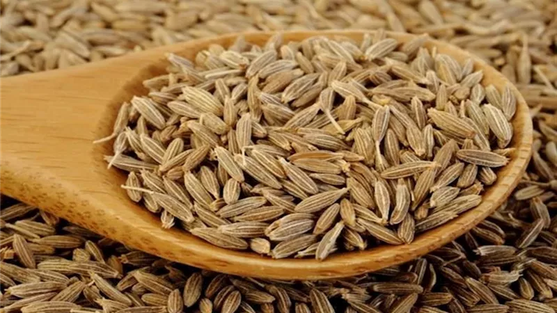 مشروب بذور الكمون