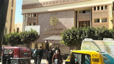 شقيق المتهم بقتل أطفال المنوفية: والدتي تعرضت لوعكة صحية قبل المحاكمة 