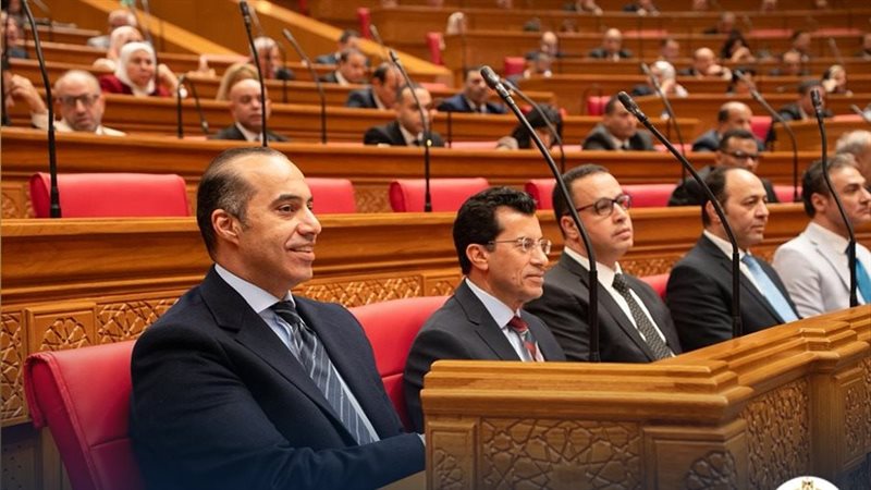 المستشار محمد فوزى