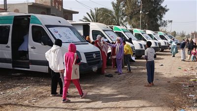 1542 حالة استفادت من القافلة الطبية المجانية بقرية الدرافيل بالدقهلية