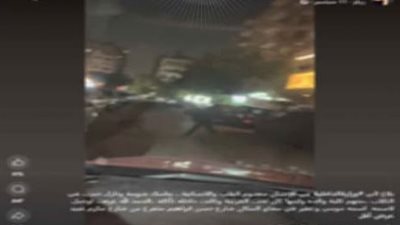 بطردهم من المنطقة.. ضبط المتهم بالتعدي على كلاب ضالة بعصا خشبية في القاهرة