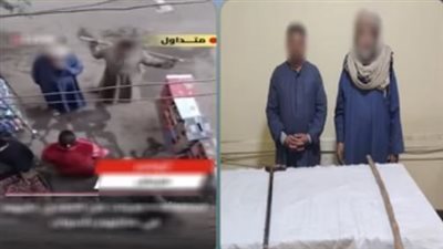 بسبب خلافات الجيرة.. ضبط شخصين اعتديا على سيدتين بـ