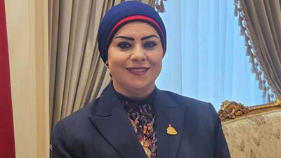 النائبة جيهان تطالب محافظ الإسماعيلية بصيانة إنارة طريق قرية النصر