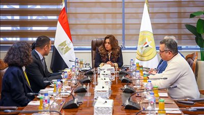 وزيرة التنمية: مستعدون لتشجير عدد من شوارع منطقة الزمالك