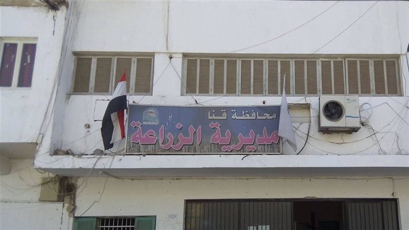 زراعة قنا