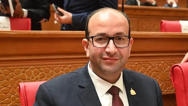 عمرو عويضة