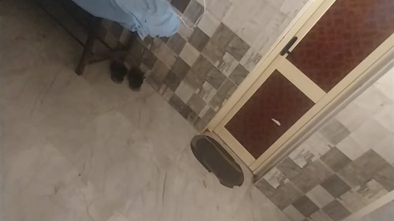 جانب من المخالفات