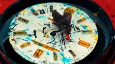 رولكس بطابع جريء ولمسة الذباب..هل أنت مستعدة للتجربة؟