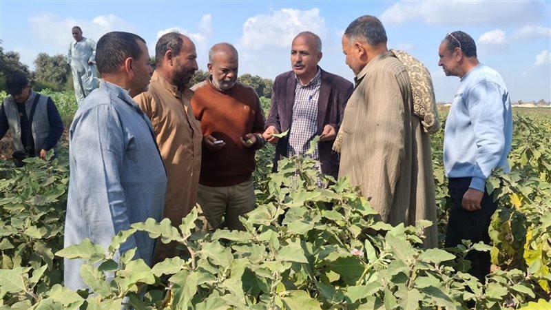 زراعة الإسماعيلية