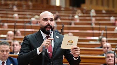 النائب إبراهيم الديب: التعديل الوزاري خطوة لضخ دماء جديدة
