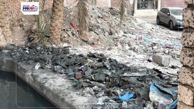 روائح خانقة وباعوض منتشر.. أهالي أبشواي يطالبون بحل أزمة المصرف الملوث