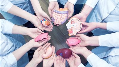 أميرة صابر: هدف مقترح تنظيم التبرع بالأعضاء إنساني وينقذ حياة