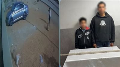 بسبب أكل الطيور.. القبض على شخصين بتهمة قتل كلب ضال بأكتوبر