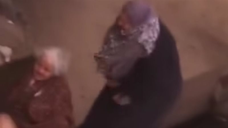 الفيديو