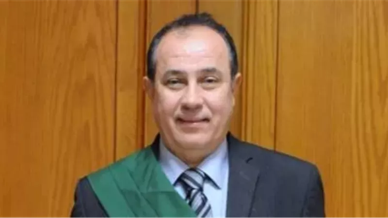 المستشار وجدى عبد