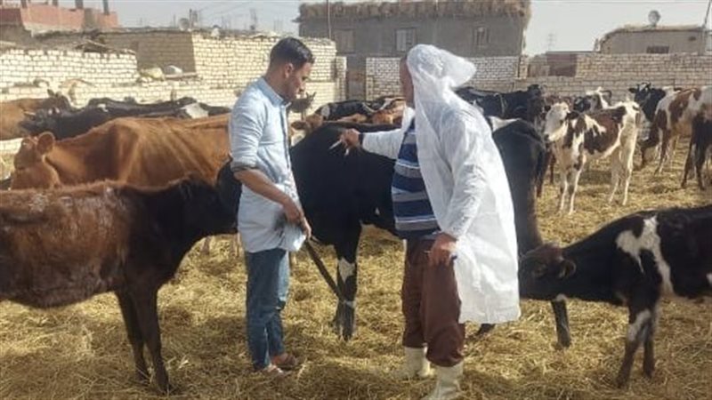الحملة الاستثنائية