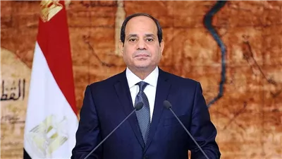 الرئيس السيسي يوجه بتكثيف الرقابة اليومية على الأسواق وضبط الأسعار
