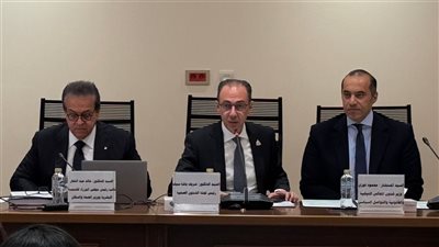 شريف باشا: البرلمان يعول كثيرًا على جلسة وزير الصحة وخدمة المواطن أولويتنا