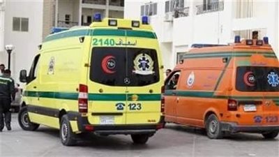 إصابة سيدة وطفلتيها بتسمم غذائي بسبب هريسة فاسدة في البحيرة