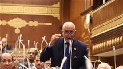 الجندي: مصر تلعب دورًا محوريًا في جهود الوساطة لتهدئة الأوضاع بالشرق الأوسط