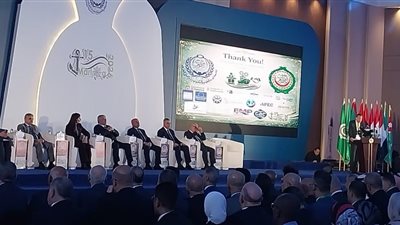 الوزير: نتمنى عودة قناة السويس إلى طبيعتها.. ومتفائلون بجهود الفريق أسامة ربيع