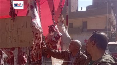 بيطري المنيا: ضبط أكثر من 3 أطنان لحوم غير صالحة ومذبوحة خارج المجازر 