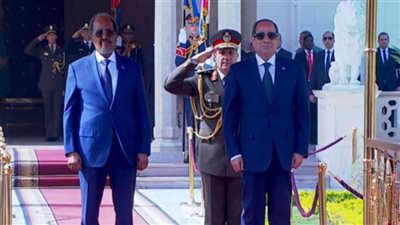 السيسي: مصر تولي أهمية كبيرة للتعاون مع الأشقاء الصوماليين في المجال الطبي
