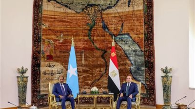 السيسي يشدد على أهمية تفعيل إعلان الشراكة الاستراتيجية الموقع في يناير ٢٠٢٥
