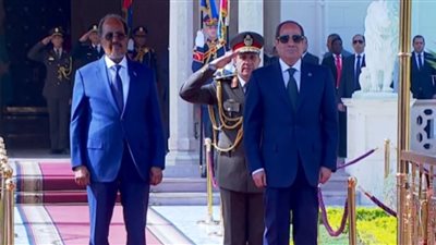 السيسي: مصر تؤكد استعدادها لمشاركة خبراتها في مكافحة الإرهاب مع الصومال