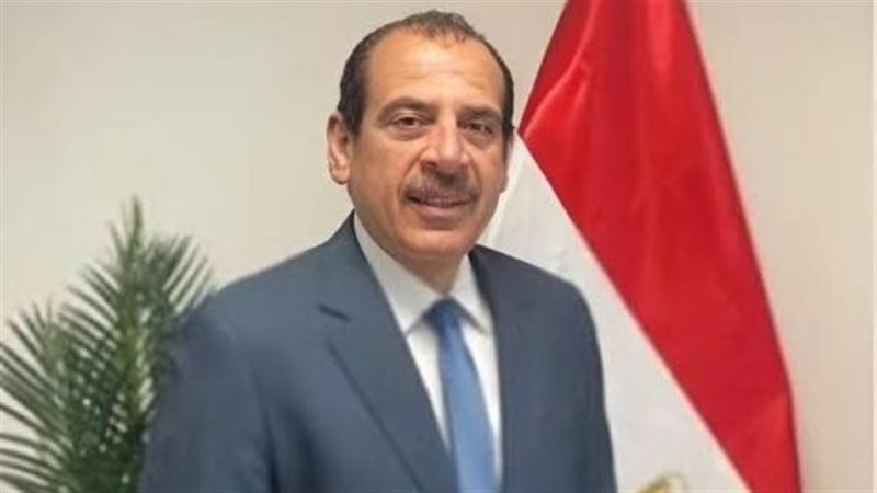 د. عمرو قنديل