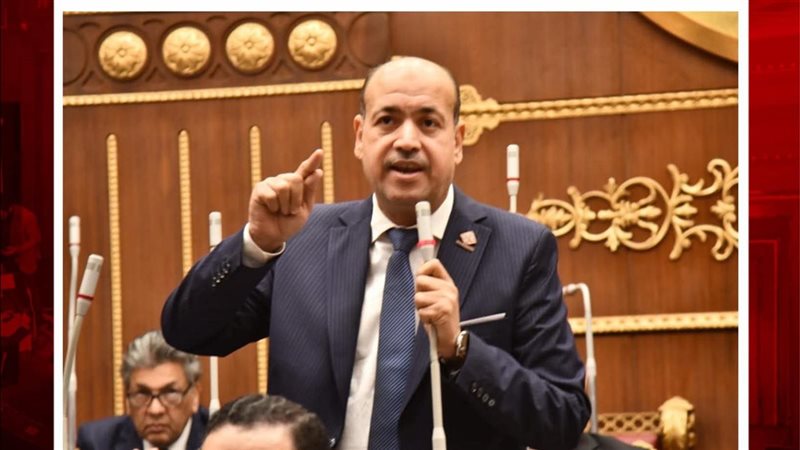 النائب أحمد سيد 