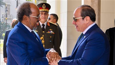 نواب عن القمة المصرية الصومالية: القاهرة تعزز دورها كقوة استقرار إقليمية
