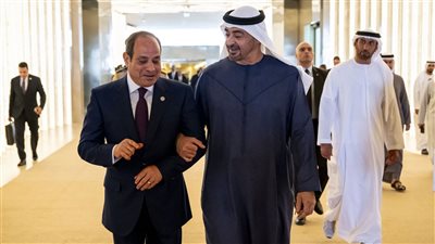 استقبال رسمي للرئيس السيسي في أبوظبي من الشيخ محمد بن زايد|فيديو